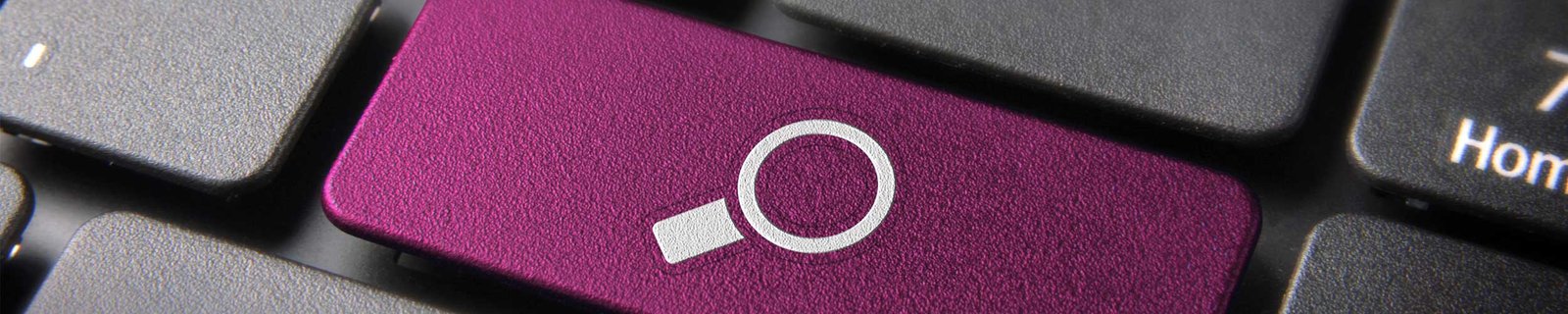 Vivian Cruz Search Banner